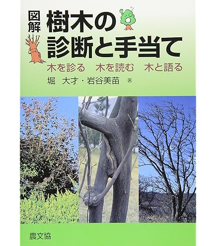 Amazon.co.jp: ブッダの世界観: 改訂版心の発見 : おもちゃ